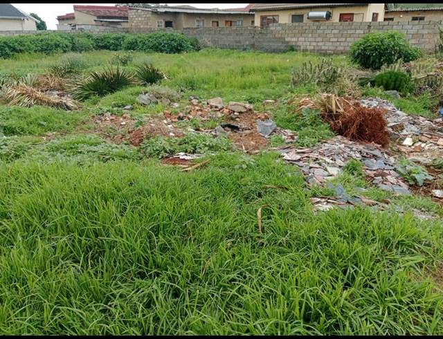 LAND FOR SALE IN VILLA LIZA